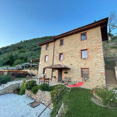 B&B Il Volo Camaiore Exterior foto