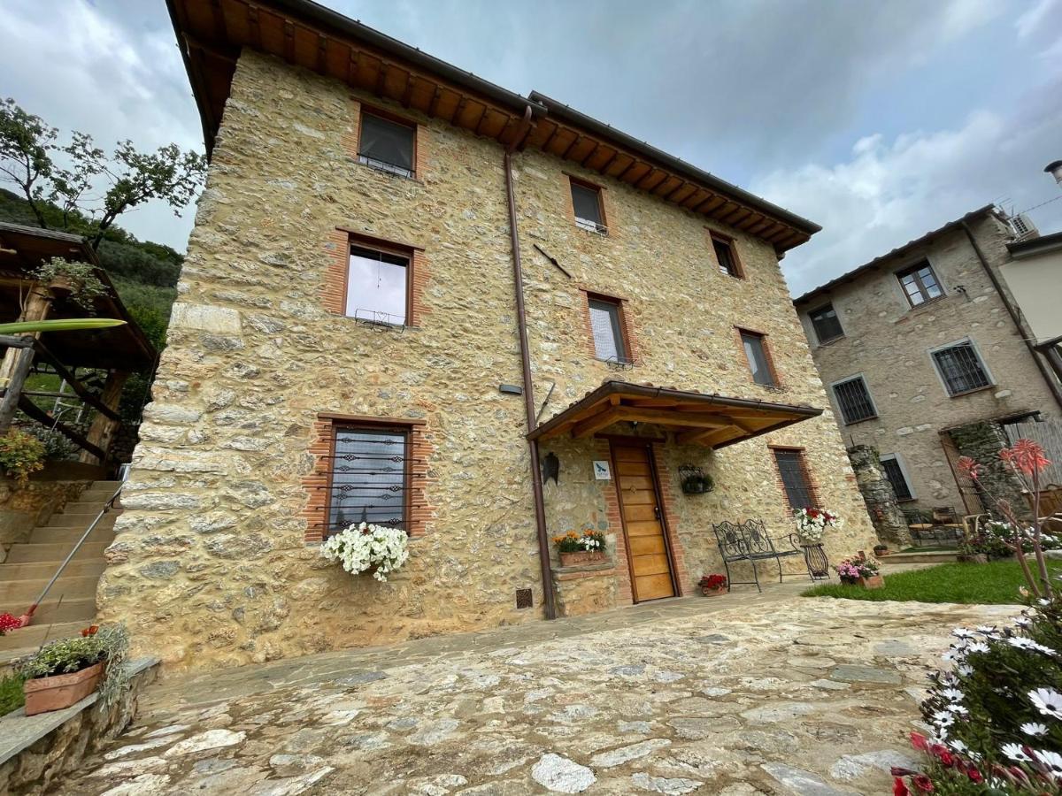 B&B Il Volo Camaiore Exterior foto