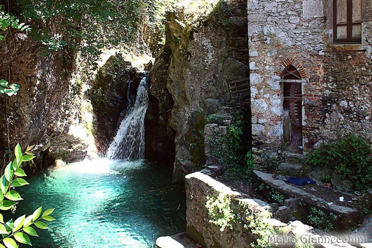 B&B Il Volo Camaiore Exterior foto